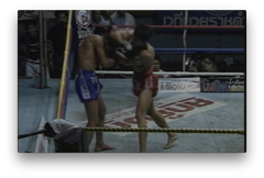 The Elbows of Muay Thai Boran by Marco De Cesaris (On Demand) - Budovideos Inc