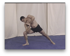 Brazilian Jiu Jitsu Conditioning with the Vacirca Brothers (On Demand) - Budovideos Inc