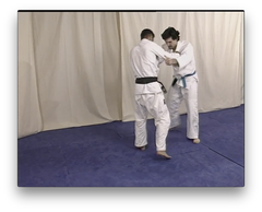 Brazilian Jiu Jitsu Advanced Techniques Vol 2 Submissions with Daniel Rego (On Demand) - Budovideos Inc