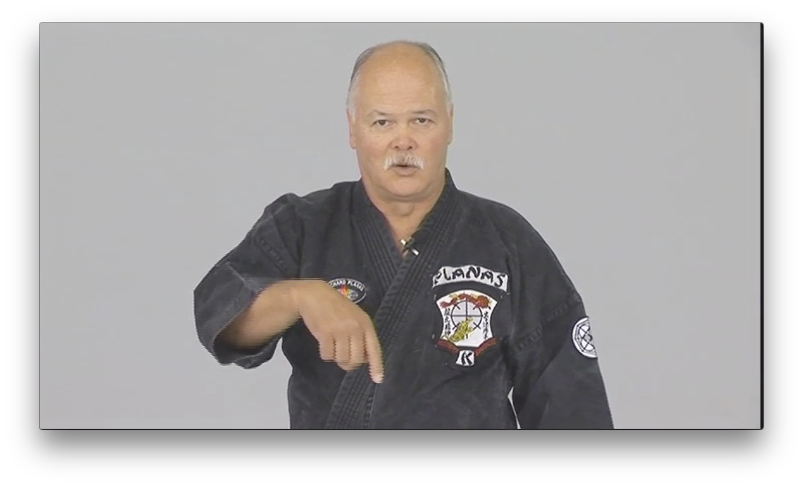 Kenpo Golden Rules by Richard Planas (On Demand) - Budovideos Inc