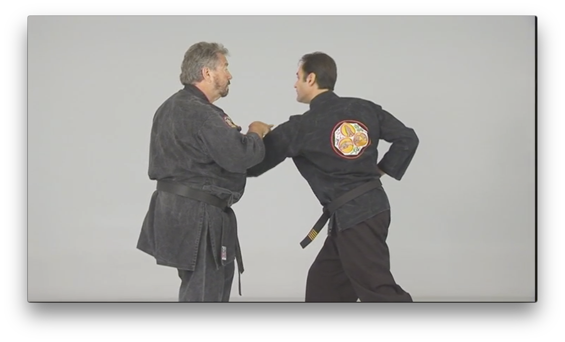 Kosho Ryu Kenpo by Bruce Juchnik (On Demand) - Budovideos Inc