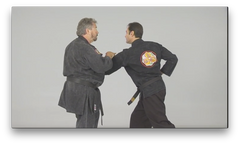Kosho Ryu Kenpo by Bruce Juchnik (On Demand) - Budovideos Inc