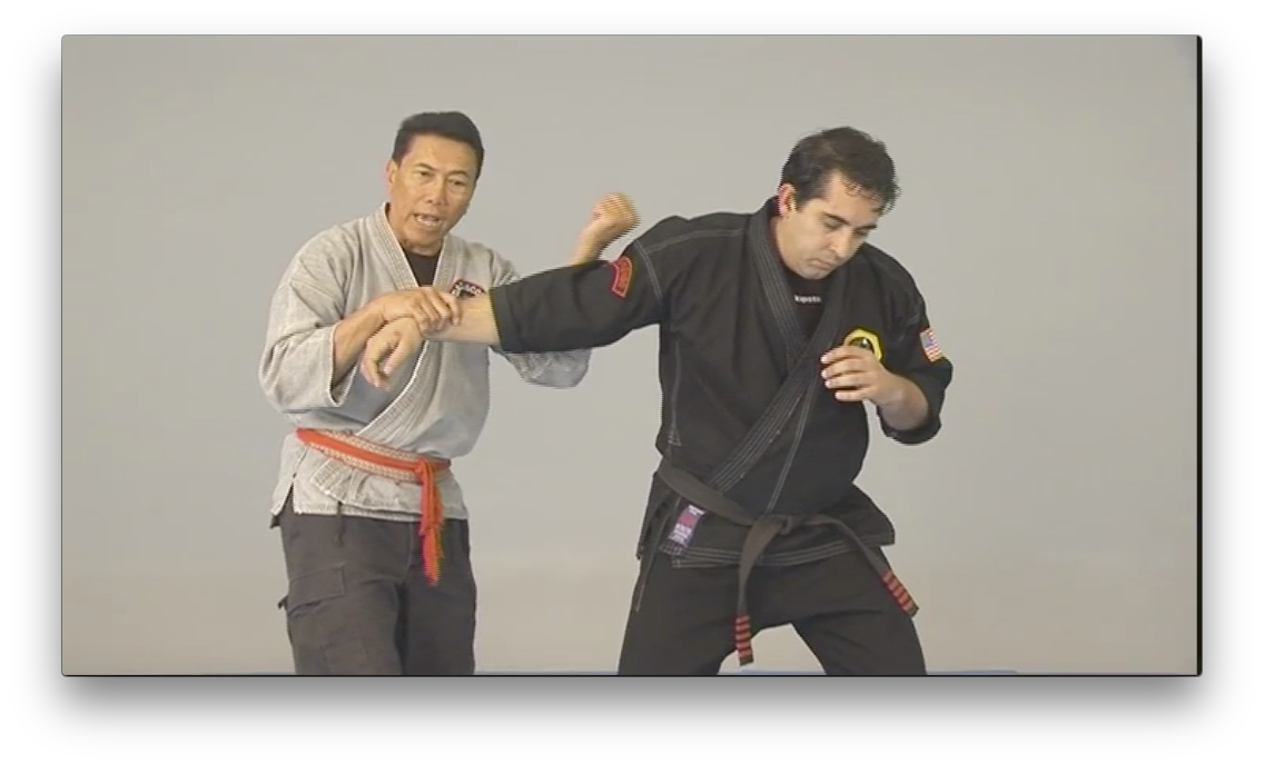 Kajukenbo belts online