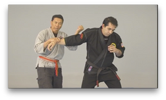 Kajukenbo WHKD Forms and Techniques by Al Dacascos (On Demand) - Budovideos Inc