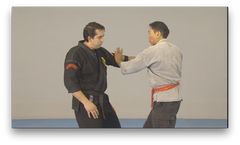 Kajukenbo WHKD Forms and Techniques by Al Dacascos (On Demand) - Budovideos Inc