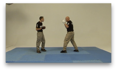 Krav Maga RED Vol 1: Research, Evolution, Development by Christian Wilmouth (On Demand) - Budovideos Inc