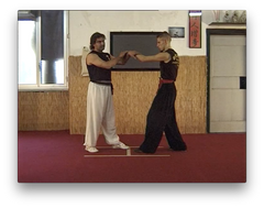 Traditional Wing Chun Vol 1 by Paolo Cangelosi (On Demand) - Budovideos Inc