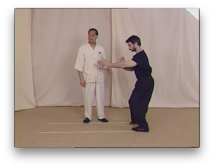 Wing Tsun Right or Wrong? by Leung Ting (On Demand) - Budovideos Inc