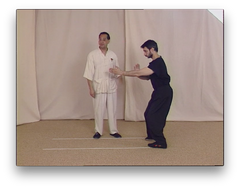 Wing Tsun Right or Wrong? by Leung Ting (On Demand) - Budovideos Inc