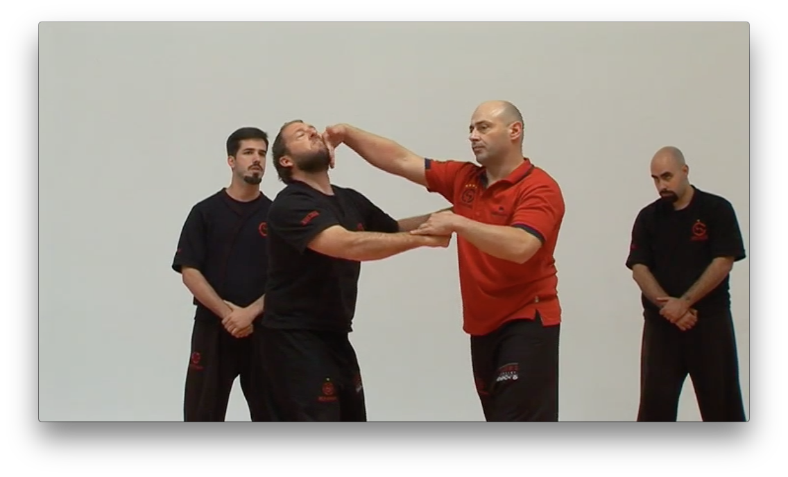 Wing Tsun Advanced TAOWS Academy by Salvador Sanchez (On Demand) - Budovideos Inc