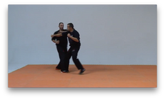 Wing Tsun Advanced TAOWS Academy by Salvador Sanchez (On Demand) - Budovideos Inc