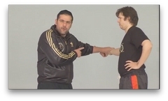 IDS Krav Maga The Will to Survive by Alain Cohen (On Demand) - Budovideos Inc