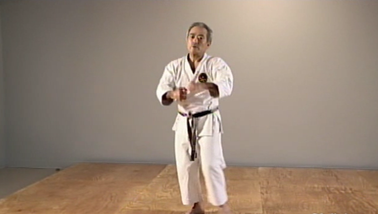 Okinawan Karate Shorin Ryu Vol-1 by Eihachi Ota (On Demand) - Budovideos Inc