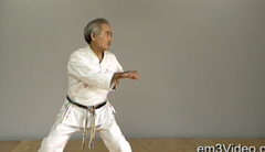 Okinawan Karate Shorin Ryu Vol-2 by Eihachi Ota (On Demand) - Budovideos Inc