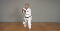Okinawan Karate Shorin Ryu Vol-4 by Eihachi Ota (On Demand) - Budovideos Inc