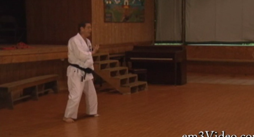 Shotokan Masters with Hirokazu Kanazawa (On Demand) - Budovideos Inc
