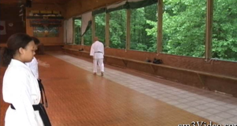 Shotokan Masters with Hideo Ochi (On Demand) - Budovideos Inc