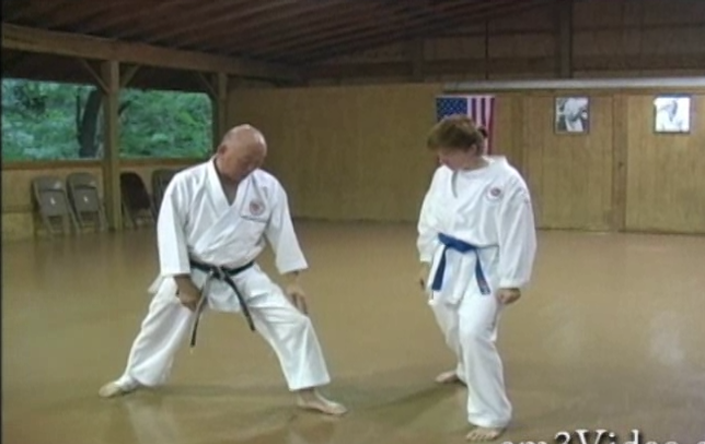 Shotokan Masters with Shunsuke Takahashi (On Demand) - Budovideos Inc