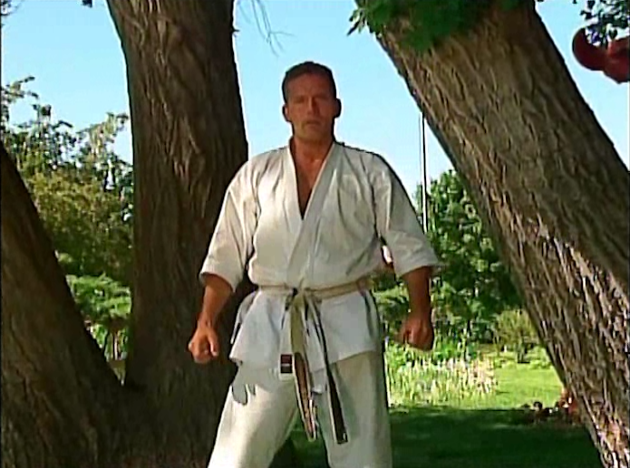 Masterclass Shotokan Katas Vol 1 by Michael Berger (On Demand) - Budovideos Inc