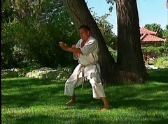 Masterclass Shotokan Katas Vol 2 by Michael Berger (On Demand) - Budovideos Inc