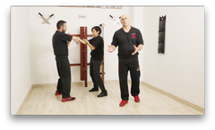 Chi Sao Wing Tsun TAOWS Academy by Salvador Sanchez (On Demand) - Budovideos Inc