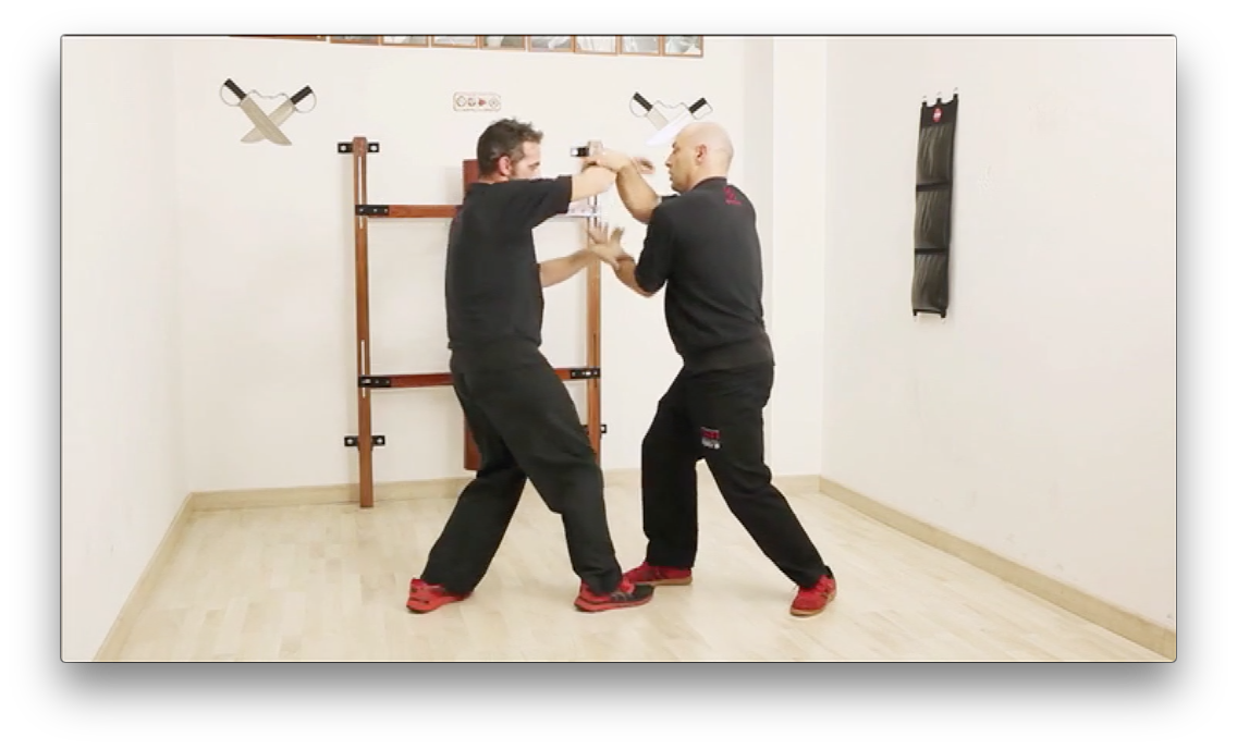 Chi Sao Wing Tsun TAOWS Academy by Salvador Sanchez (On Demand) - Budovideos Inc