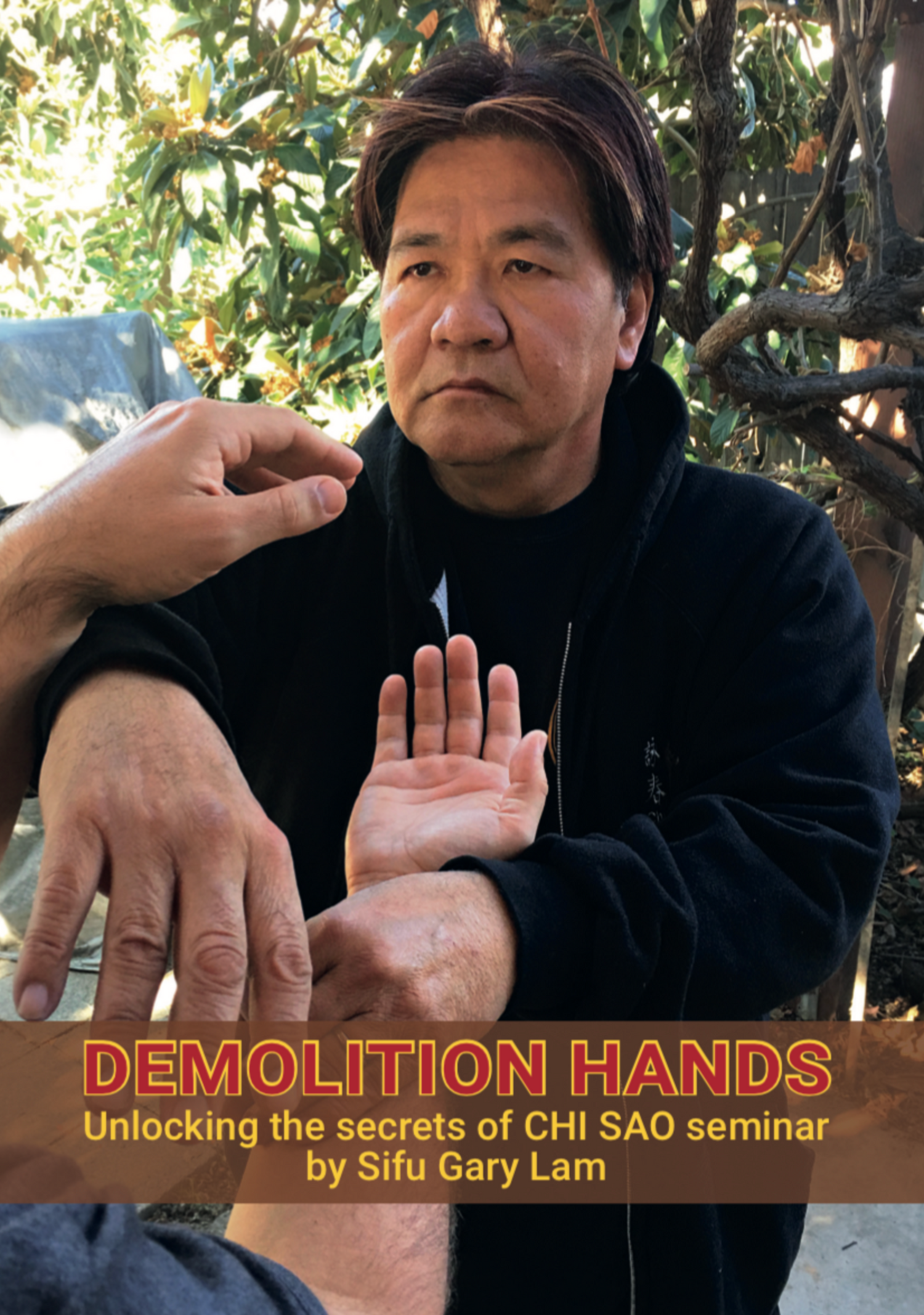 Demolition Hands DVD by Gary Lam - Budovideos Inc