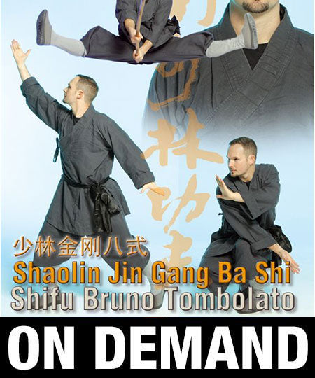 Shaolin Secret Techniques Jin Gang Ba Shi by Bruno Tombolato (On Demand) - Budovideos Inc