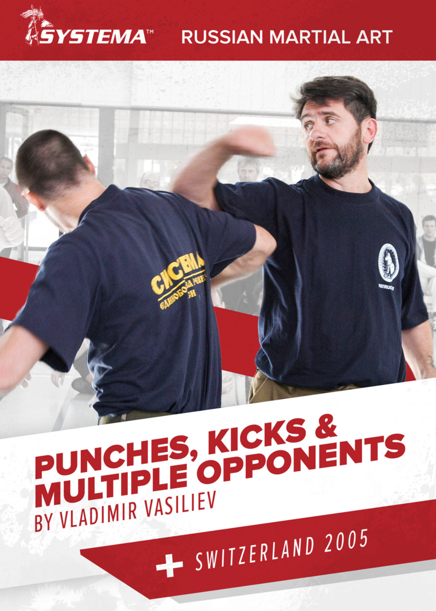 Systema Punches, Kicks, and Multiple Opponents DVD by Vladimir Vasiliev - Budovideos Inc