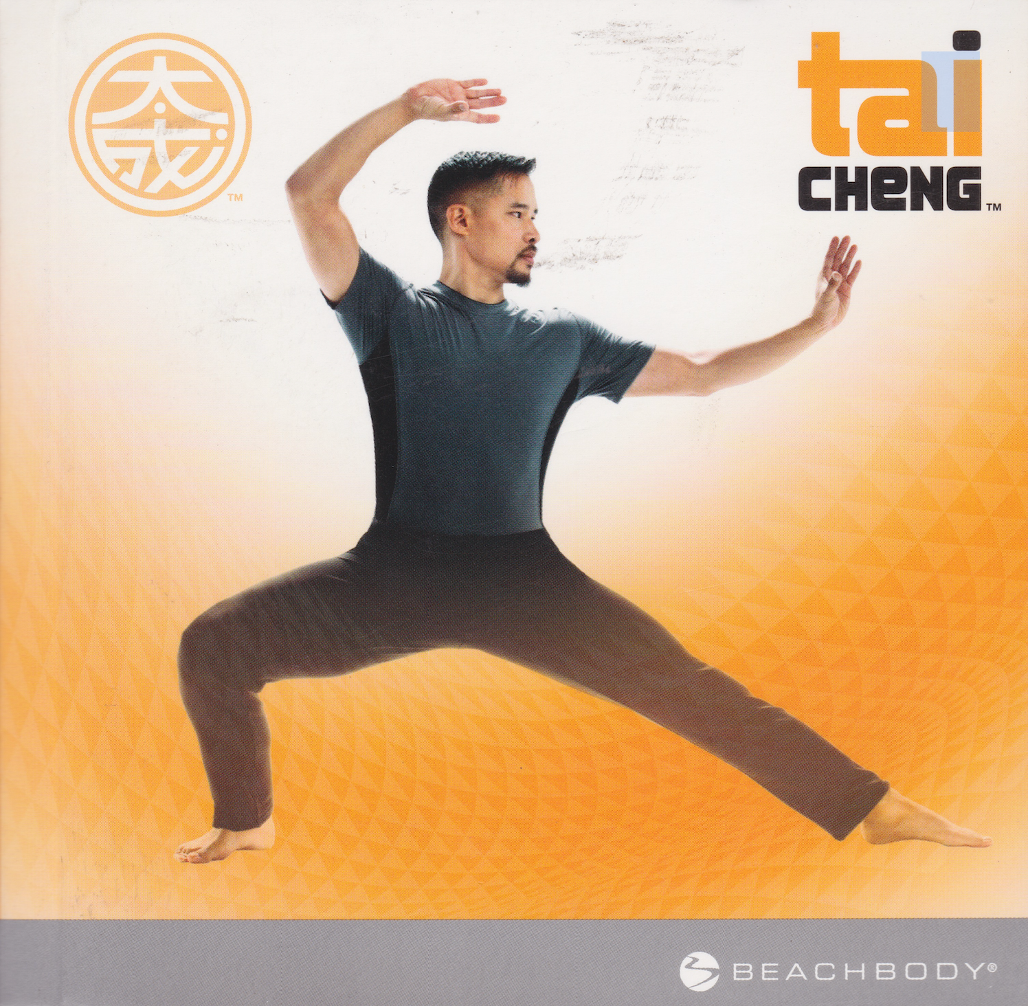Tai Cheng 14 DVD Set with Mark Cheng (Preowned) - Budovideos Inc