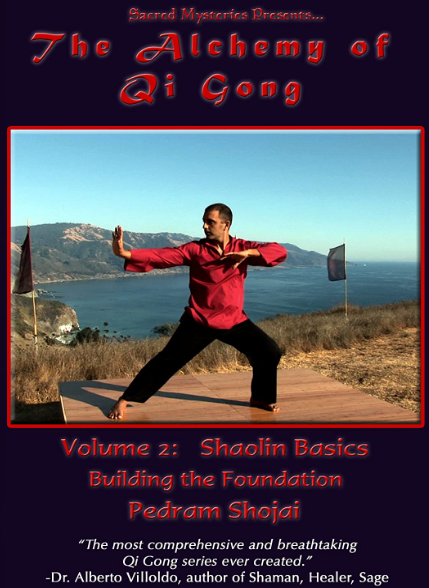 The Alchemy Of Qigong With Pedram Shojai DVD 2 Building the Foundation (Preowned)