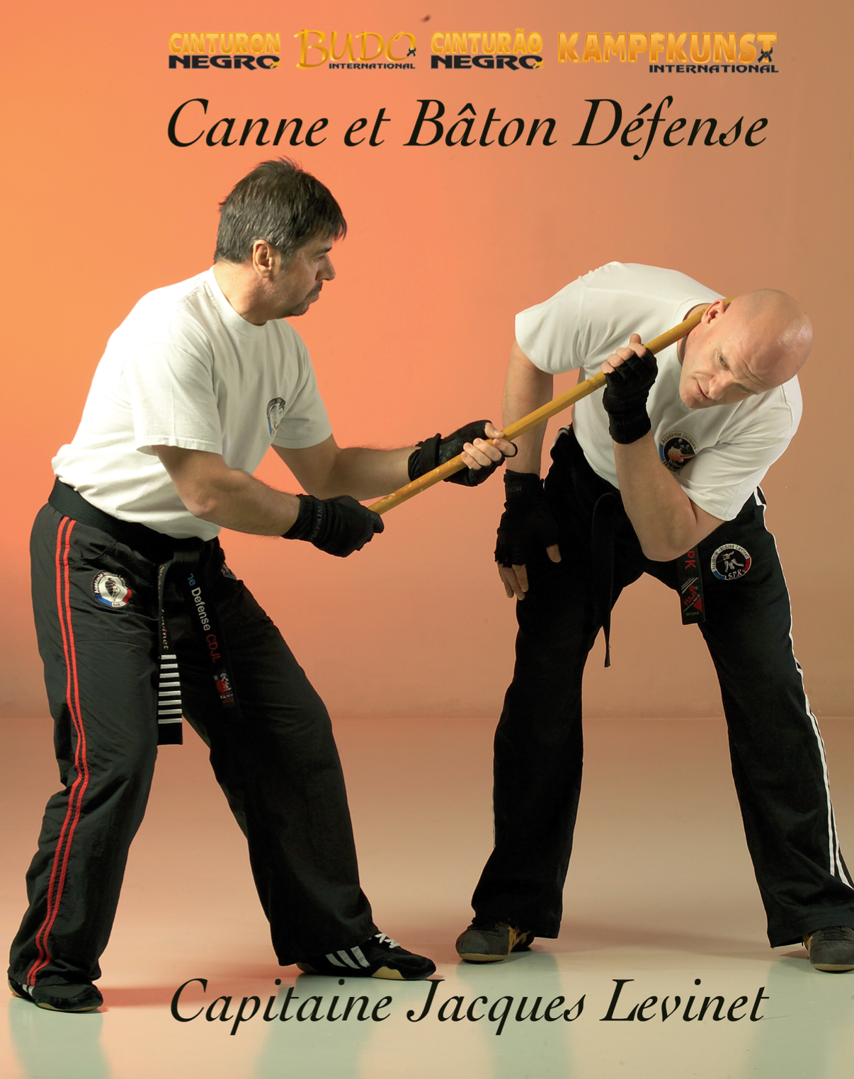 El DVD de defensa del bastón y el palo de Jacques Levinet