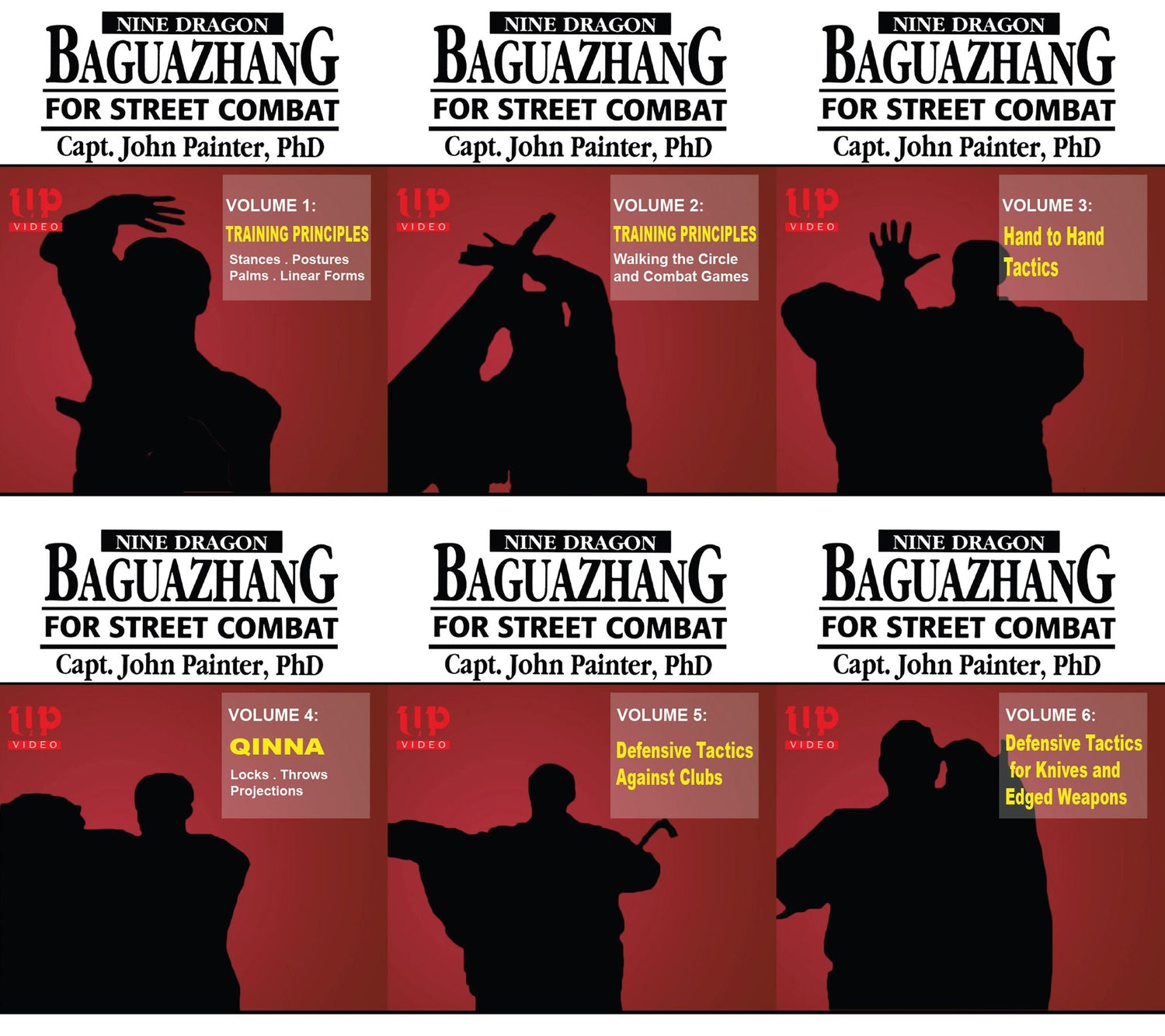 Baguazhang For Street Combat 6 DVD Set with John Painter - Budovideos Inc