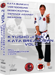 Kyusho Jitsu Kata Breakdown DVD 2 by Will Higginbotham - Budovideos Inc