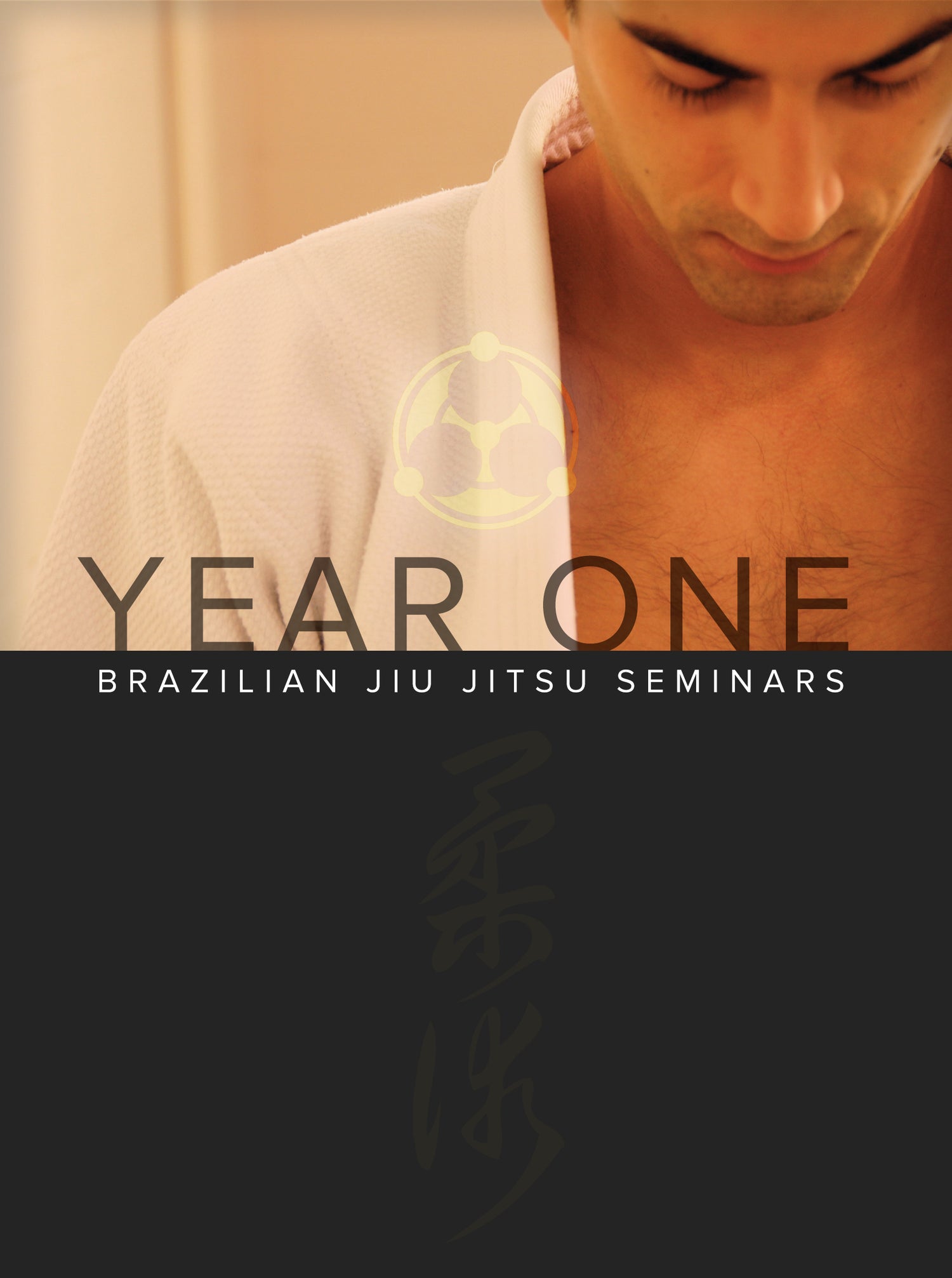 Year One BJJ Seminars by Roy Dean (On Demand) - Budovideos