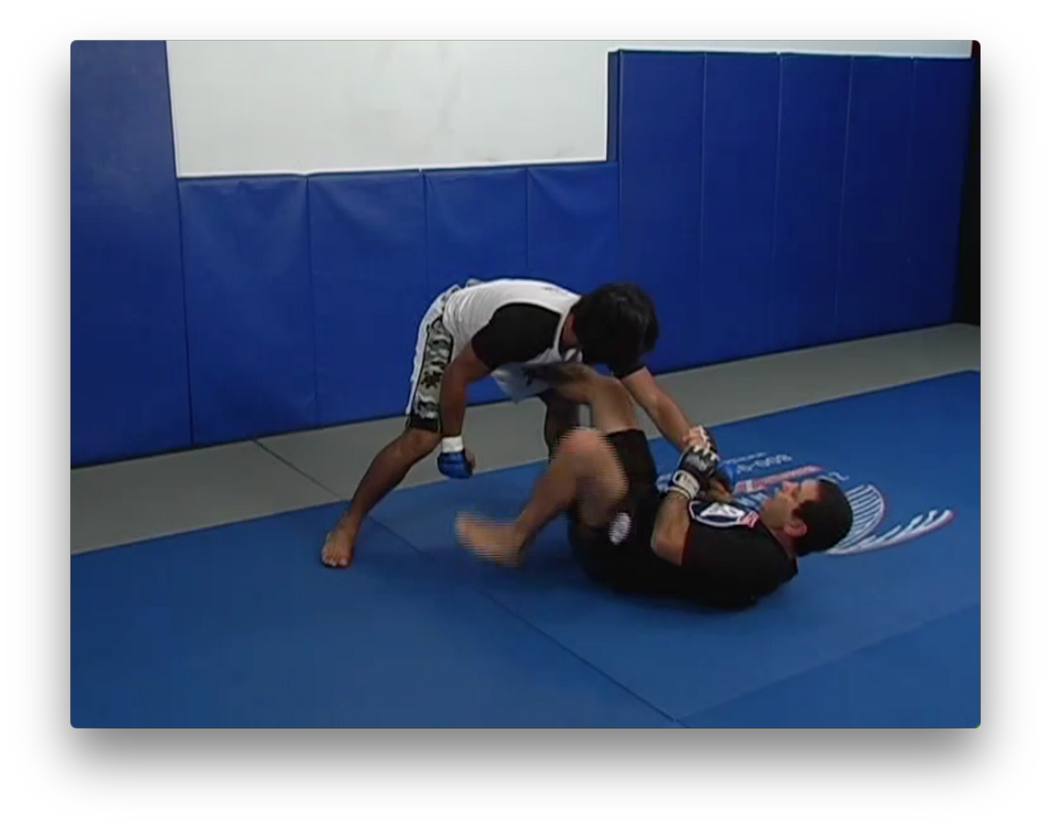 Mixed Martial Arts by Marcus Vinicius Di Lucia (On Demand) - Budovideos Inc