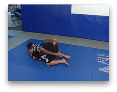 Mixed Martial Arts by Marcus Vinicius Di Lucia (On Demand) - Budovideos Inc