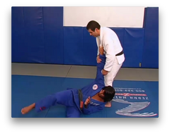 Throws and Takedowns by Marcus Vinicius Di Lucia (On Demand) - Budovideos Inc