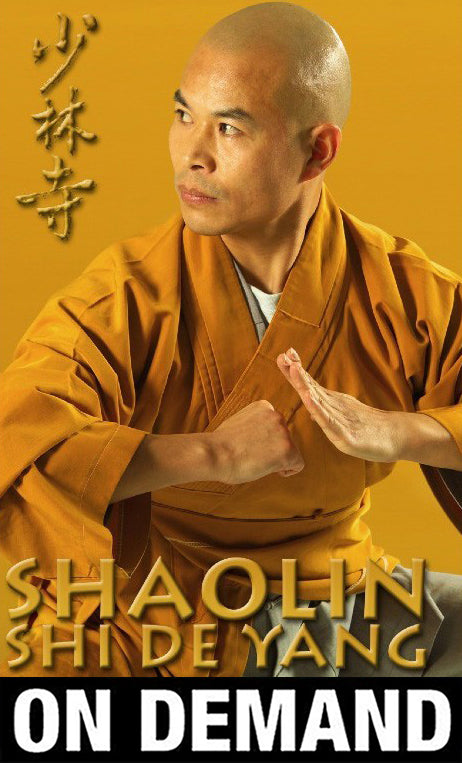 Shaolin Kung-Fu Shi De Yang Interview with Shi de Yang (On Demand) - Budovideos