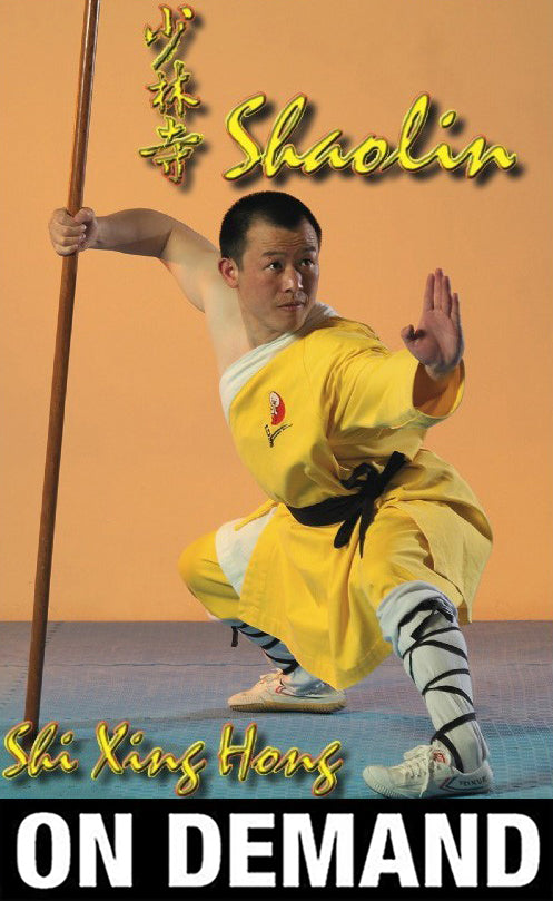 The 18 movements of Shaolin Kung Fu with Shi Xing Hong (On Demand) - Budovideos