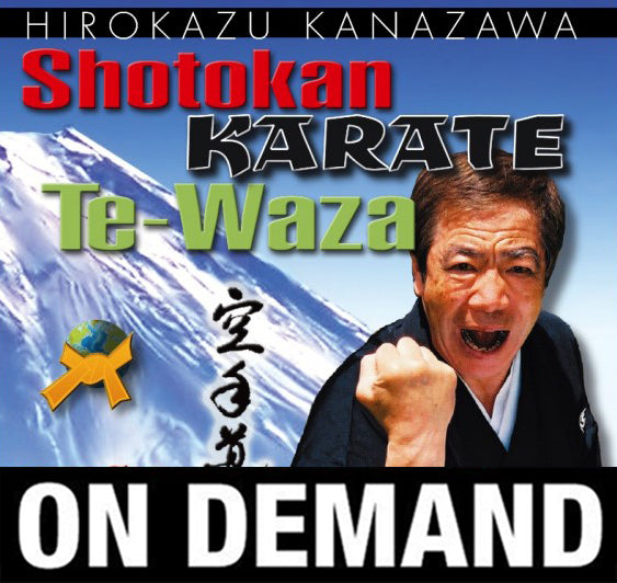 Mastering Karate Te Waza by Hirokazu Kanazawa (On Demand) - Budovideos