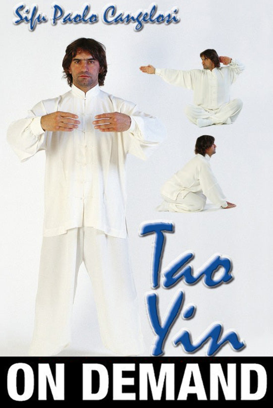 Tao Yin Internal Kung Fu with Paulo Cangelosi (On Demand) - Budovideos