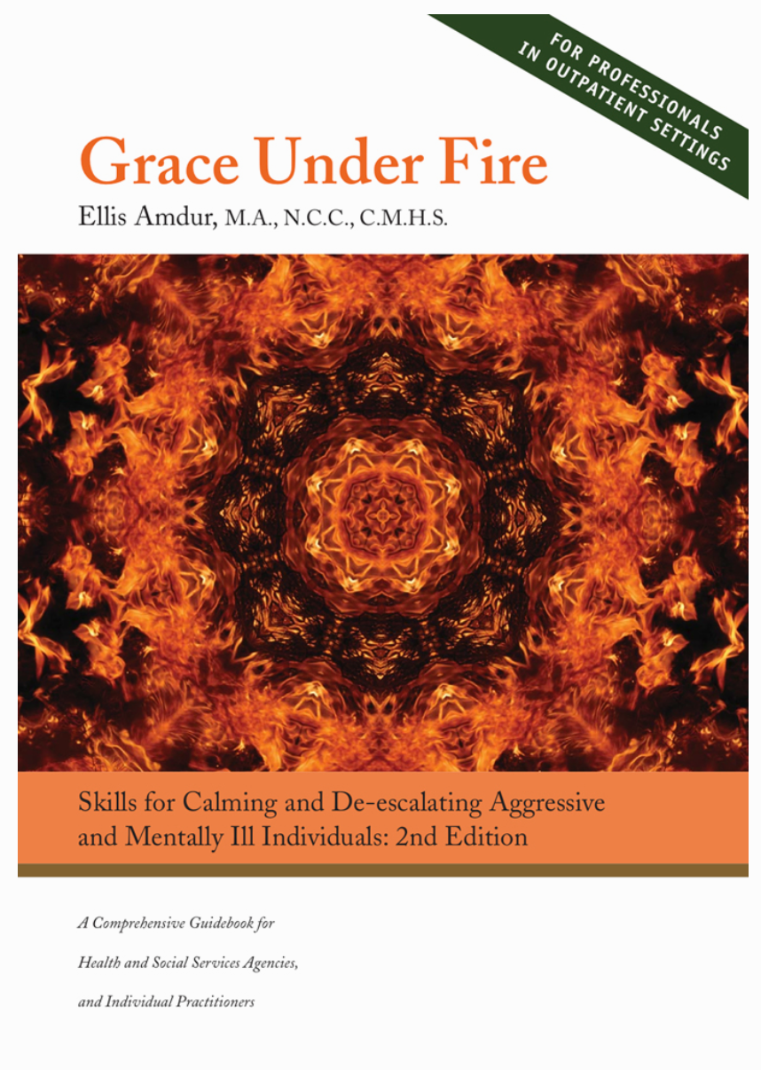 Grace Under Fire by Ellis Amdur (E-book) - Budovideos Inc