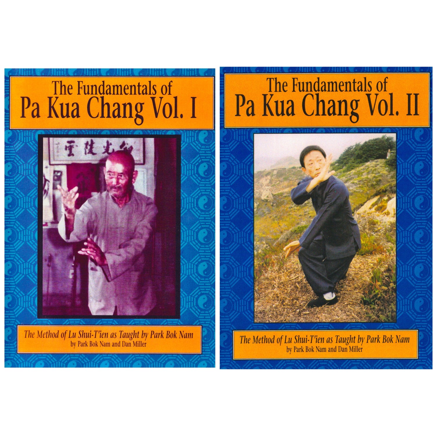 The Fundamentals of Pa Kua Chang 2 DVD Set by Park Bok Nam - Budovideos Inc