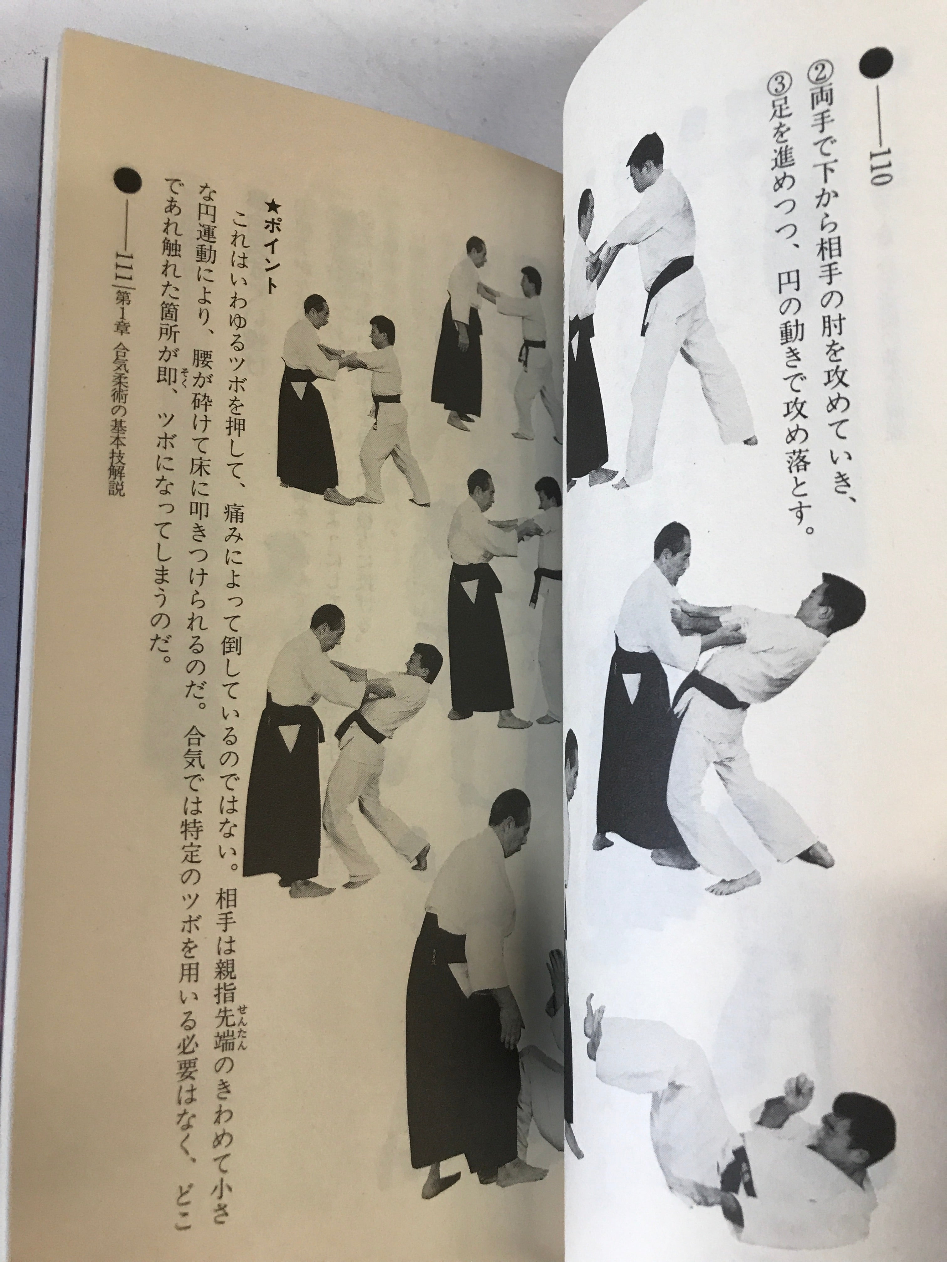 大東流合気柔術口伝 書籍&VHSセット 岡本正剛著 (中古