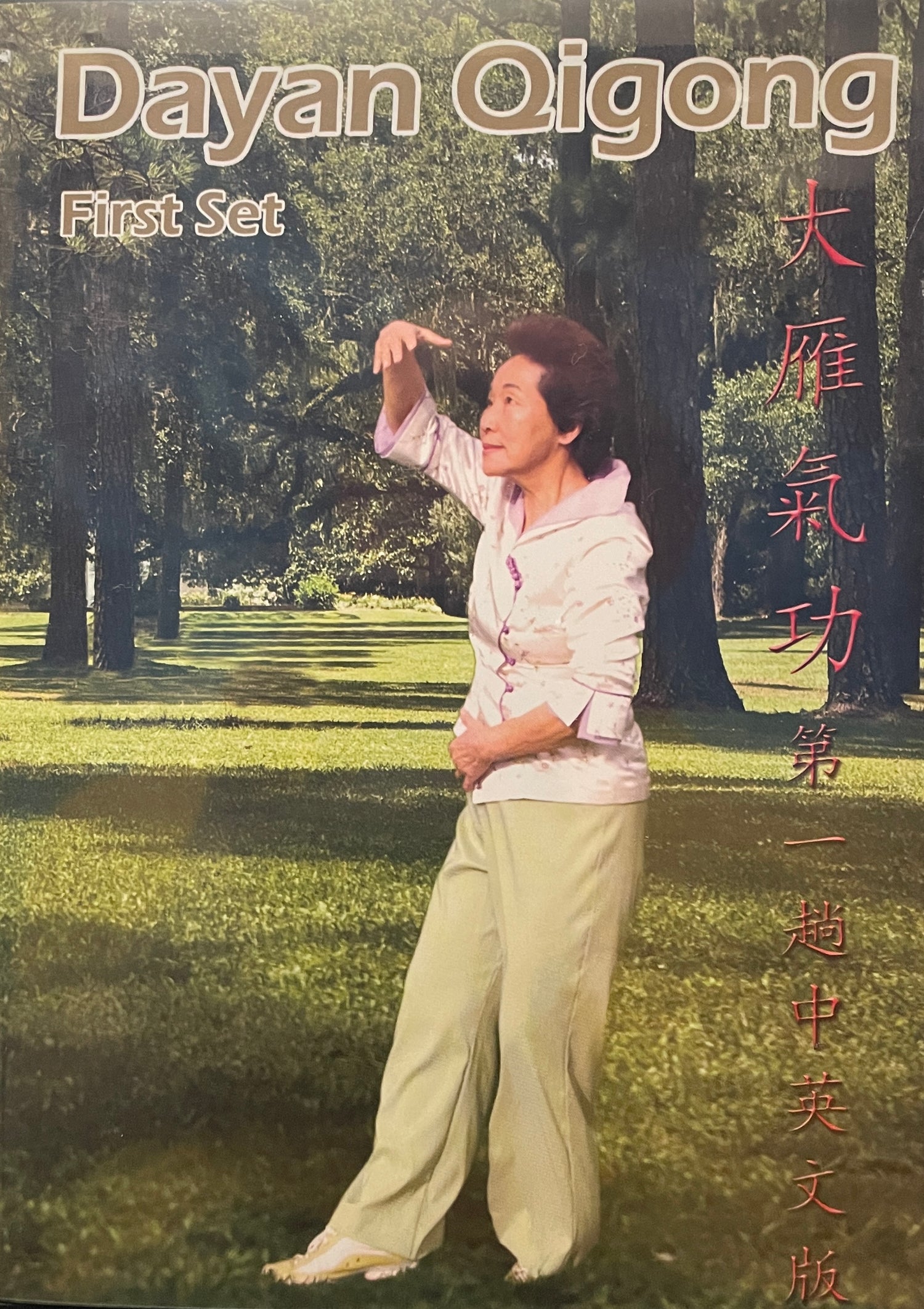 Primer juego de Dayan Qigong (juego de 2 DVD) de Hui Liu (usado)