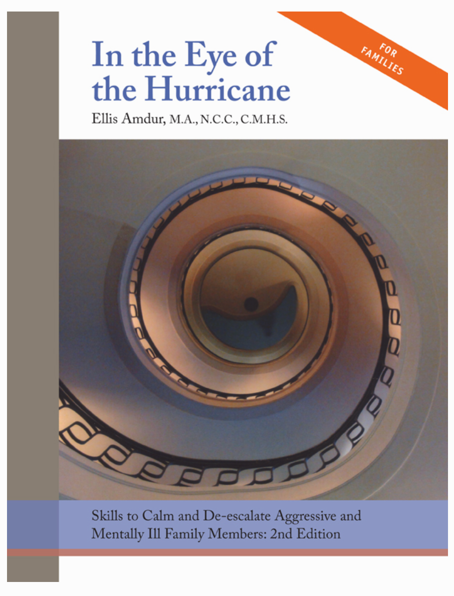 In the Eye of the Hurricane by Ellis Amdur (E-book) - Budovideos Inc