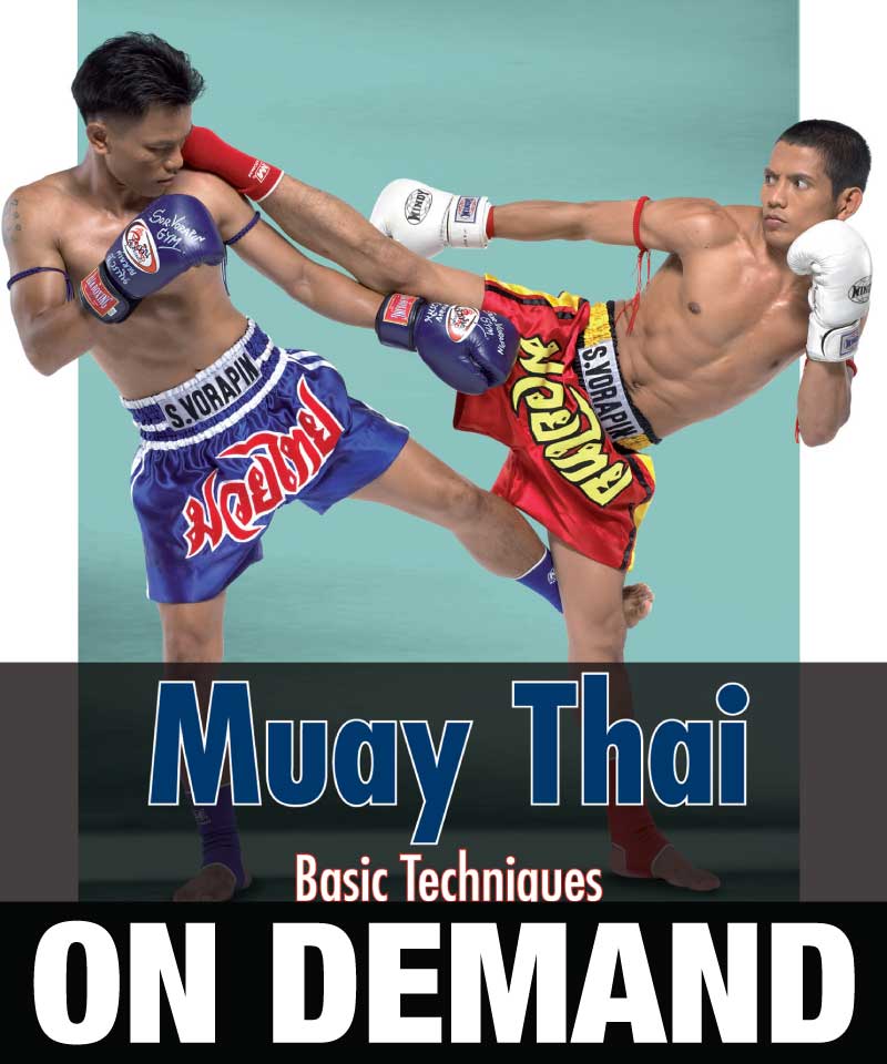 Técnicas básicas de Muay Thai por Christoph Delp (Bajo demanda)