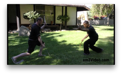 Martial Arts of the Pacific Rim Seminar with Michael Belzer (On Demand) - Budovideos Inc