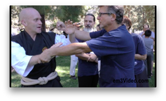 Martial Arts of the Pacific Rim Seminar with Michael Belzer (On Demand) - Budovideos Inc